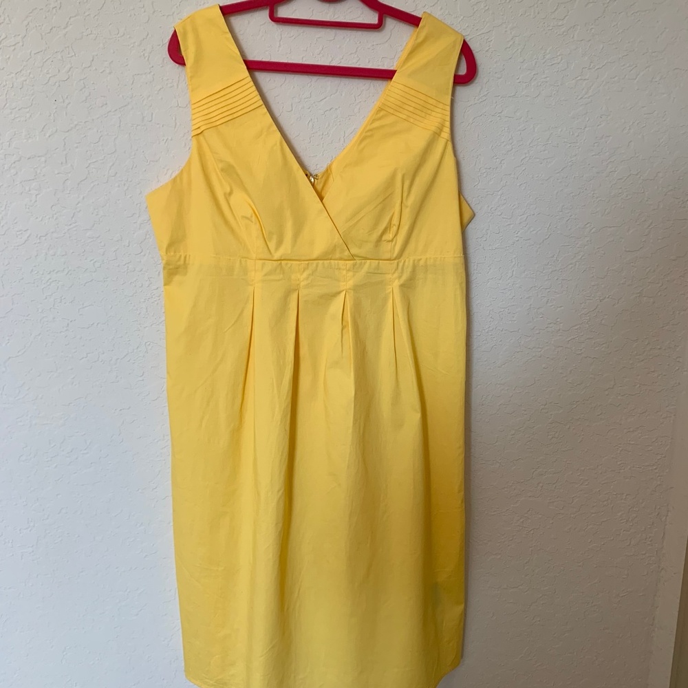 Tex by Max Azria V neck dress